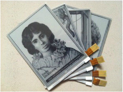 سعر جيد شاشة حبر E الأصلية 6.0 بوصة 600 × 800 SVGA مع 34 دبوسًا الانترنت